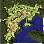 gef_fild05