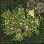 mosk_dun03